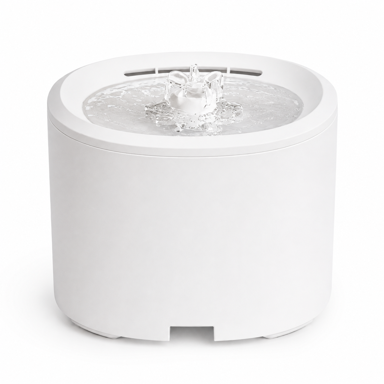 Automatic Pet Water Fountain with Filtration