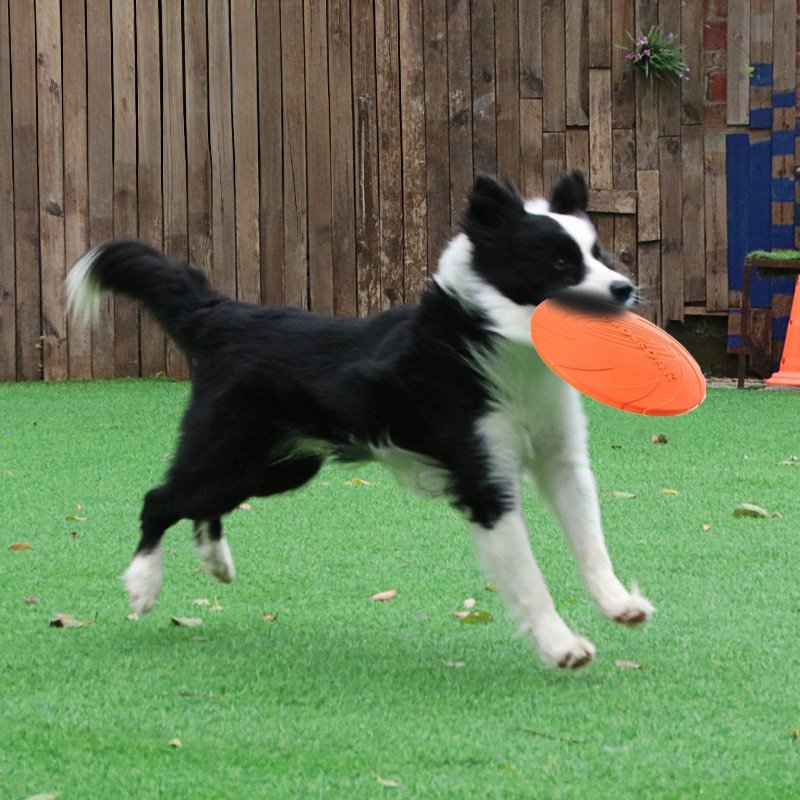Floating Bite-Resistant TPR Dog Frisbee