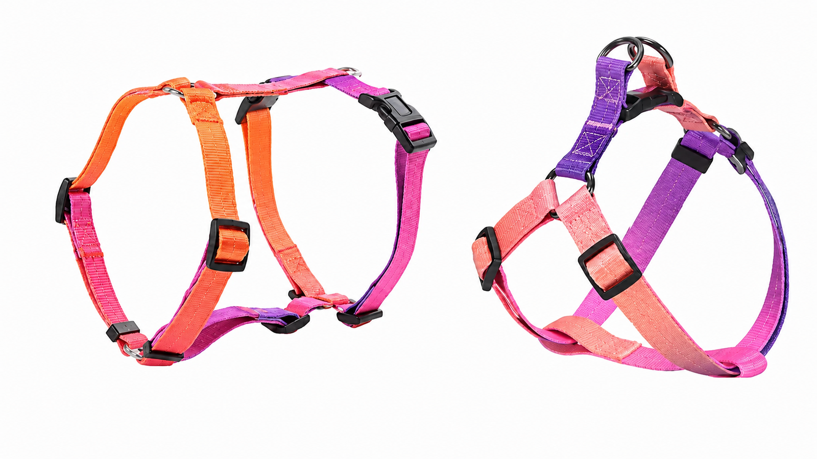 Modular H & Y Dog Harness Set