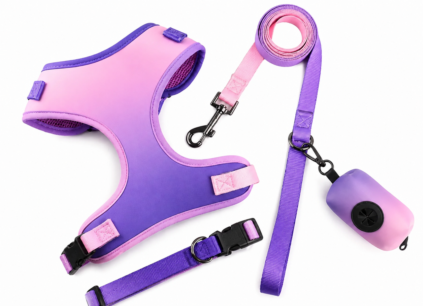 4-Piece Adjustable Dog Harness & Leash Set