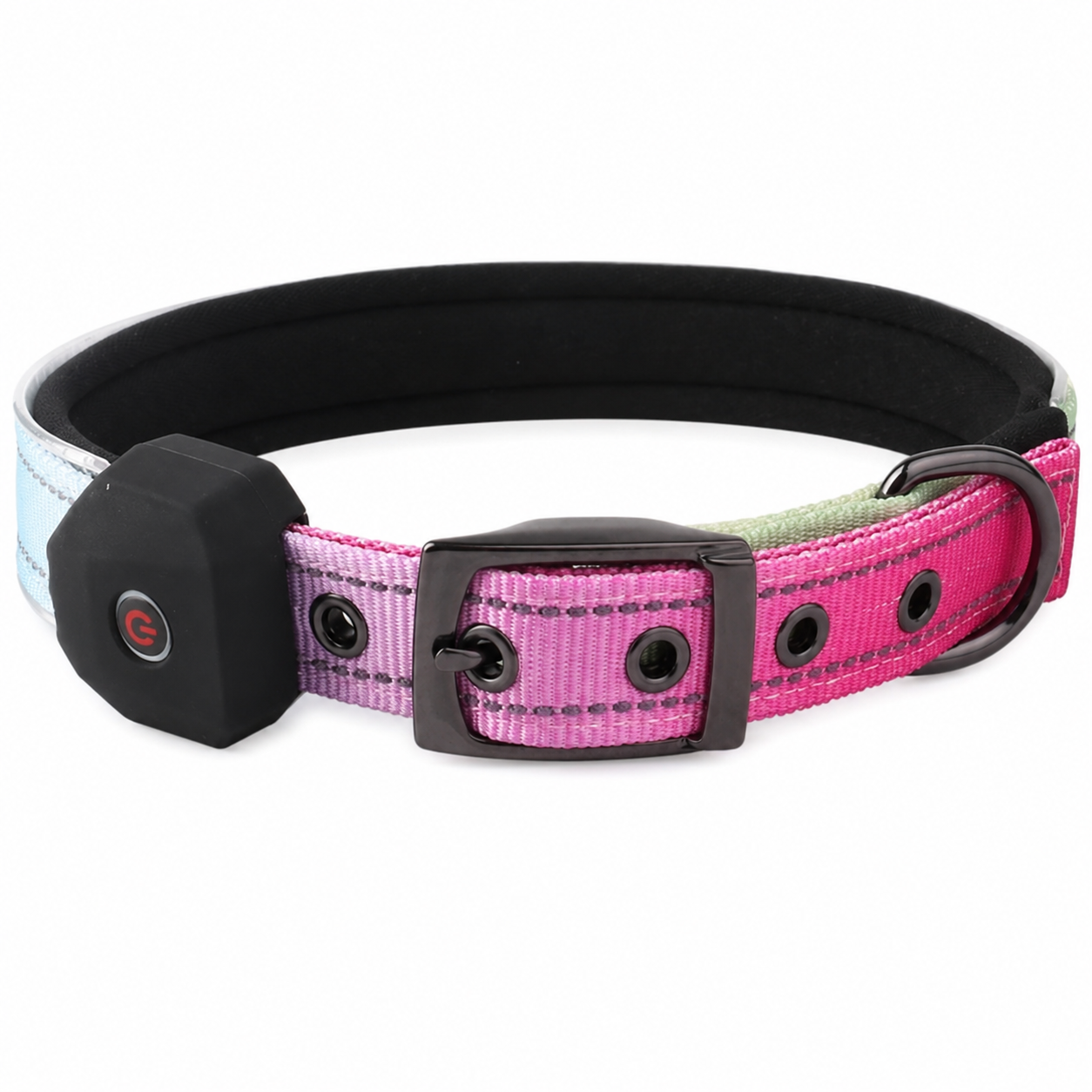 Rechargeable LED Light-Up Dog Collar